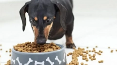 Naturalne odżywianie lub karmę przemysłową?